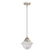 Oxford Mini Pendant shown in the Brushed Satin Nickel finish with a Seedy shade