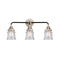 Canton Bath Vanity Light shown in the Black Polished Nickel finish with a Seedy shade