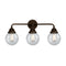 Beacon Bath Vanity Light shown in the Oil Rubbed Bronze finish with a Seedy shade