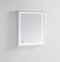 Aquadom 24" x 30" x 1.5" Daytona Wall Mount LED Lighted Mirror for Bathroom 3D Color Temperature Lights Cool or Warm Clock Defogger Dimmer