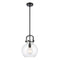 Newton Sphere Mini Pendant shown in the Matte Black finish with a Clear shade