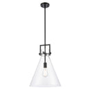 Newton Cone Pendant shown in the Matte Black finish with a Clear shade