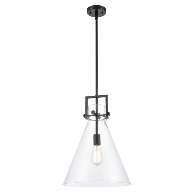 Newton Cone Pendant shown in the Matte Black finish with a Clear shade