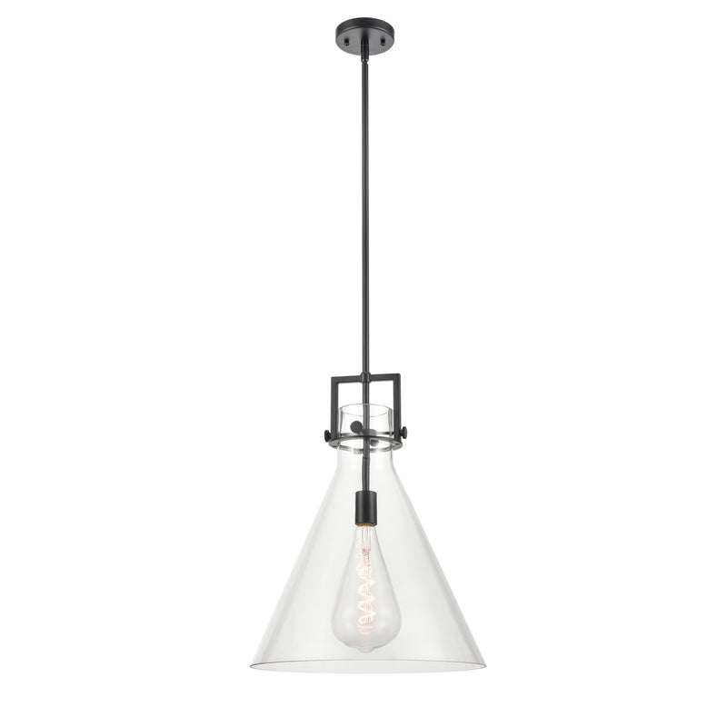 Newton Cone Pendant shown in the Matte Black finish with a Clear shade