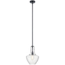 Kichler Everly 15.25" 1 Light Bell Pendant Clear Glass Black 42141BK