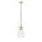 Fairfield Mini Pendant shown in the Satin Gold finish with a Seedy shade