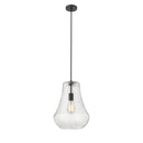 Fairfield Mini Pendant shown in the Matte Black finish with a Seedy shade