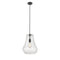 Fairfield Mini Pendant shown in the Matte Black finish with a Seedy shade