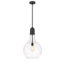 Amherst Pendant shown in the Matte Black finish with a Clear shade