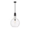 Amherst Pendant shown in the Matte Black finish with a Clear shade