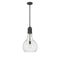 Amherst Mini Pendant shown in the Matte Black finish with a Seedy shade