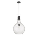 Amherst Pendant shown in the Matte Black finish with a Seedy shade