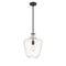 Lowell Mini Pendant shown in the Matte Black finish with a Clear shade