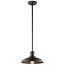 Kichler Allenbury 1 Light Convertible Pendant Olde Bronze 49982OZ