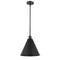 Ballston Cone Pendant shown in the Matte Black finish with a Matte Black shade