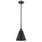 Ballston Cone Pendant shown in the Matte Black finish with a Matte Black shade