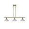 Orwell Island Light shown in the Antique Brass finish with a Clear shade