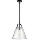 Dainolite 1 Light Incandescent Pendant Black W/ Clear Glass 871P-BK