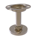 Allied Brass Vanity Top Tumbler and Toothbrush Holder 955T-PEW