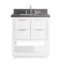 Avanity Allie 31 inch Vanity Combo ALLIE-VS31-WTS-GQ