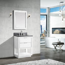 Avanity Allie 25 inch Vanity Combo ALLIE-VS25-WTS-GQ