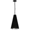 Dainolite 1 Light Small Anaya Pendant Matte Black with Black and Silver Shade ANA-S-MB-697