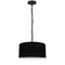 Dainolite 1 Light Small Braxton Pendant Black with Black Shade BXN-S-BK-797