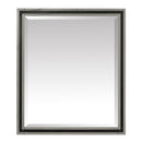 Avanity Dexter 30 inch Mirror DEXTER-M30-RG