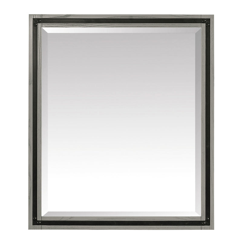 Avanity Dexter 30 inch Mirror DEXTER-M30-RG