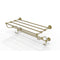 Allied Brass Dottingham Collection 24 Inch Train Rack Towel Shelf DT-HTL-24-5-SBR