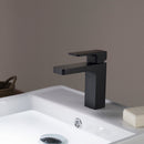 Blossom Single Handle Lavatory Faucet F01-118