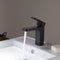 Blossom Single Handle Lavatory Faucet F01-118