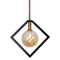 Dainolite 1 Light Halogen Pendant Mb & Vb W/ Champagne Glass GLA-121P-MB-VB