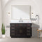 Lexora Abbey 48 in W x 22 in D Single Bath Vanity, Carrara Marble Top, and 46 in Mirror