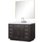 Lexora Abbey 48 in W x 22 in D Single Bath Vanity, Carrara Marble Top, Faucet Set