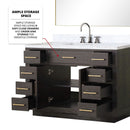 Lexora Abbey 48 in W x 22 in D Single Bath Vanity, Carrara Marble Top, and Faucet Set