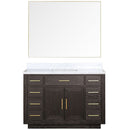 Lexora Abbey 48 in W x 22 in D Single Bath Vanity, Carrara Marble Top, and 46 in Mirror