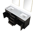 Lexora Abbey 72 in W x 22 in D Double Bath Vanity, Carrara Marble Top, and 34 in Mirrors