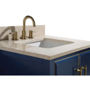 Avanity Mason 31 inch Vanity Combo MASON-VS31-NBG-D