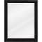 Jeffrey Alexander 22" W x 1" D x 28" H Cade mirror Vanity