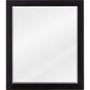 Jeffrey Alexander 24 W x 1" D x 28" H Cade Mirror Vanity