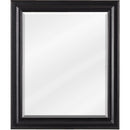 Jeffrey Alexander 20" W x 1" D x 24" H Douglas Mirror Vanity