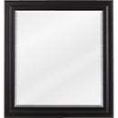 Jeffrey Alexander 22" W x 1" D x 24" H Jensen mirror Vanity