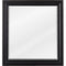 Jeffrey Alexander 22" W x 1" D x 24" H Jensen mirror Vanity