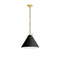 Dainolite 1 Light Incandescent Pendant Aged Brass with Black Shade PCN-161P-AGB-797