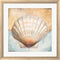 Patricia Pinto Seashell Collection III White Washed Rounded Oatmeal Faux Wood R870865-AEAEAGJEMY