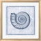 Sarah Elizabeth Chilton Blue Nautilus B White Washed Rounded Oatmeal Faux Wood R894148-AEAEAGJEMY