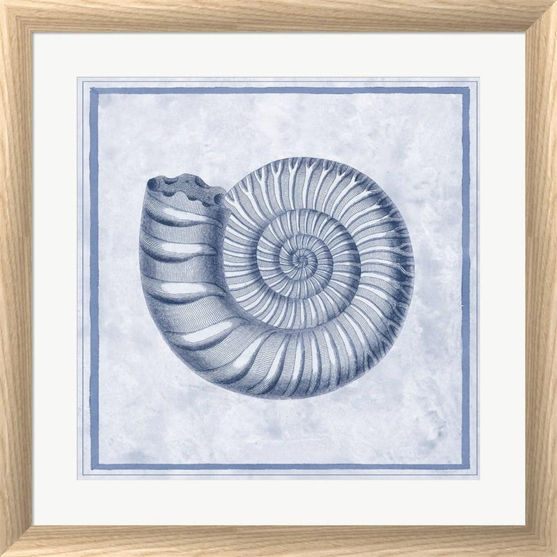 Sarah Elizabeth Chilton Blue Nautilus B White Washed Rounded Oatmeal Faux Wood R894148-AEAEAGJEMY