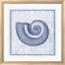 Sarah Elizabeth Chilton Blue Nautilus D White Washed Rounded Oatmeal Faux Wood R894150-AEAEAGJEMY