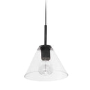 Dainolite 1 Light Pendant Matte Black with Clear Glass RSW-91P-MB-CLR